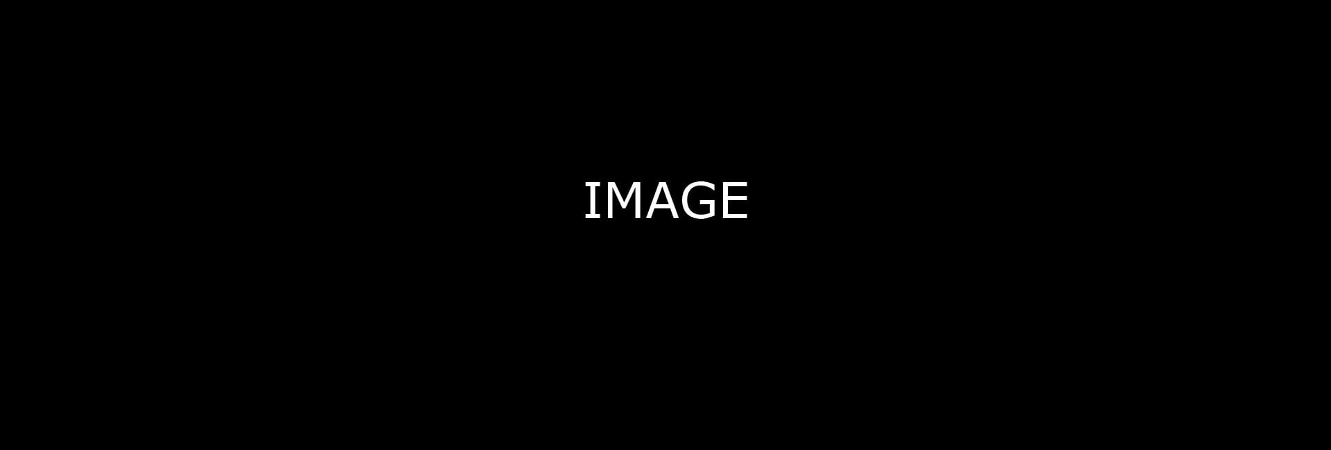 Image Alt Goes Here